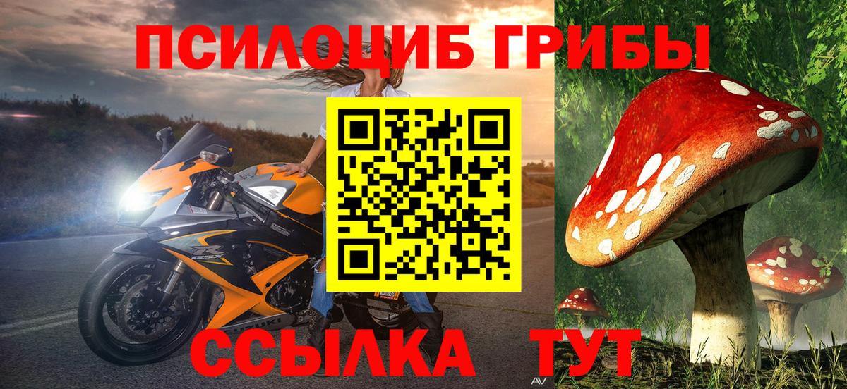 Балабаново  Галлюциногенные грибы прущие грибы  Вход с VPN 