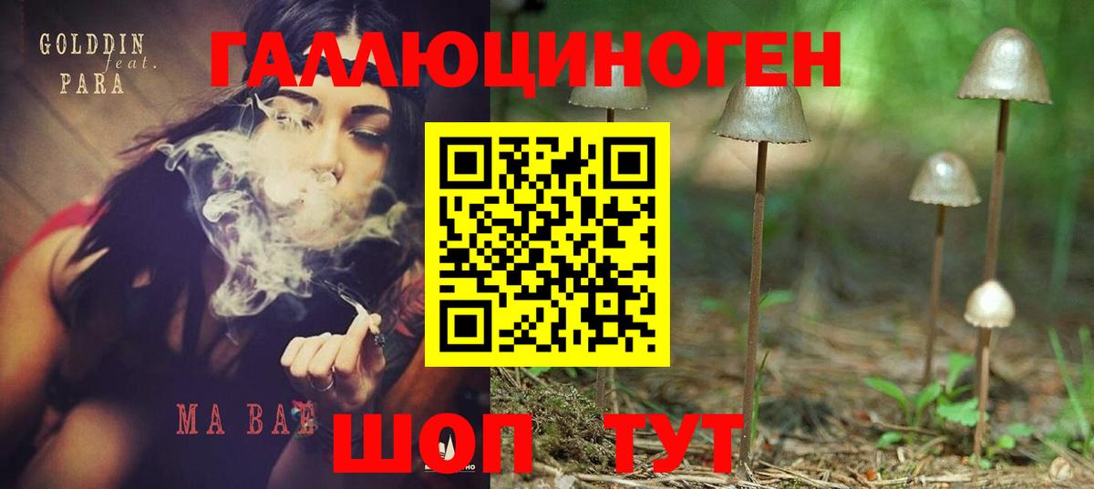 Галлюциногенные грибы мухоморы Балабаново